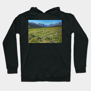 Glacier National Park Wild Flowers Hoodie